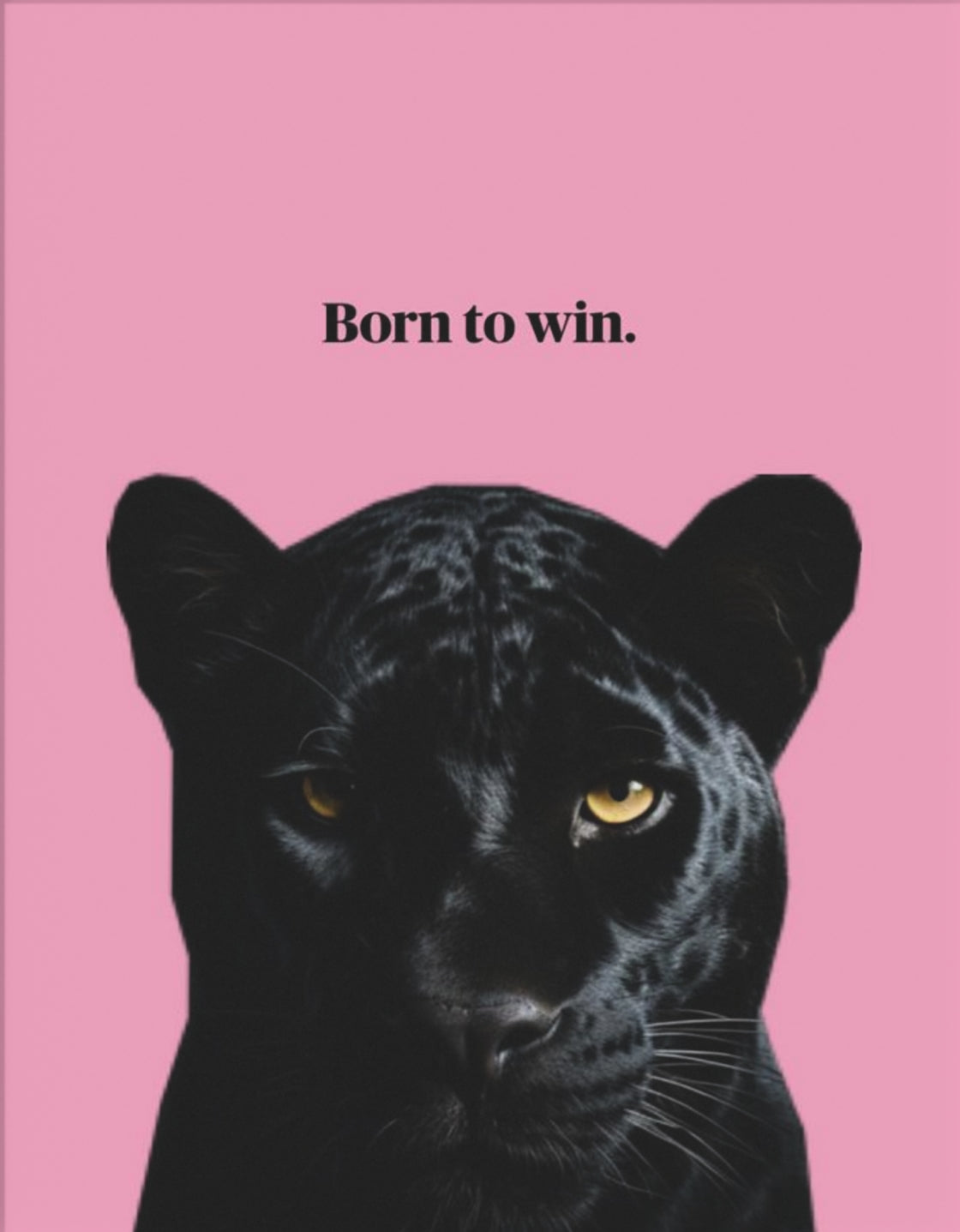 Born to Win – Panther-Poster – Motiv in voller Größe