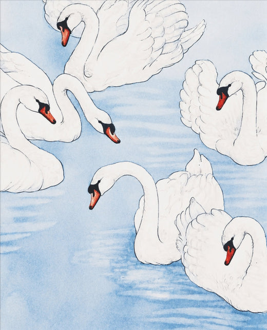 Schwanensee – Aquarell-Poster