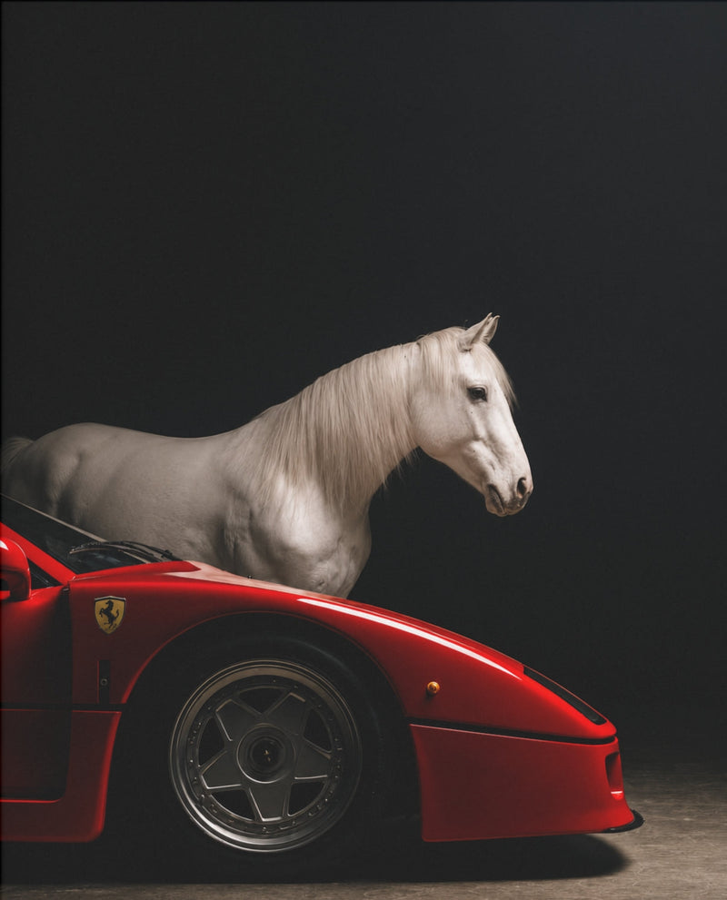 Ferrari & weißer Hengst – Auto-Poster